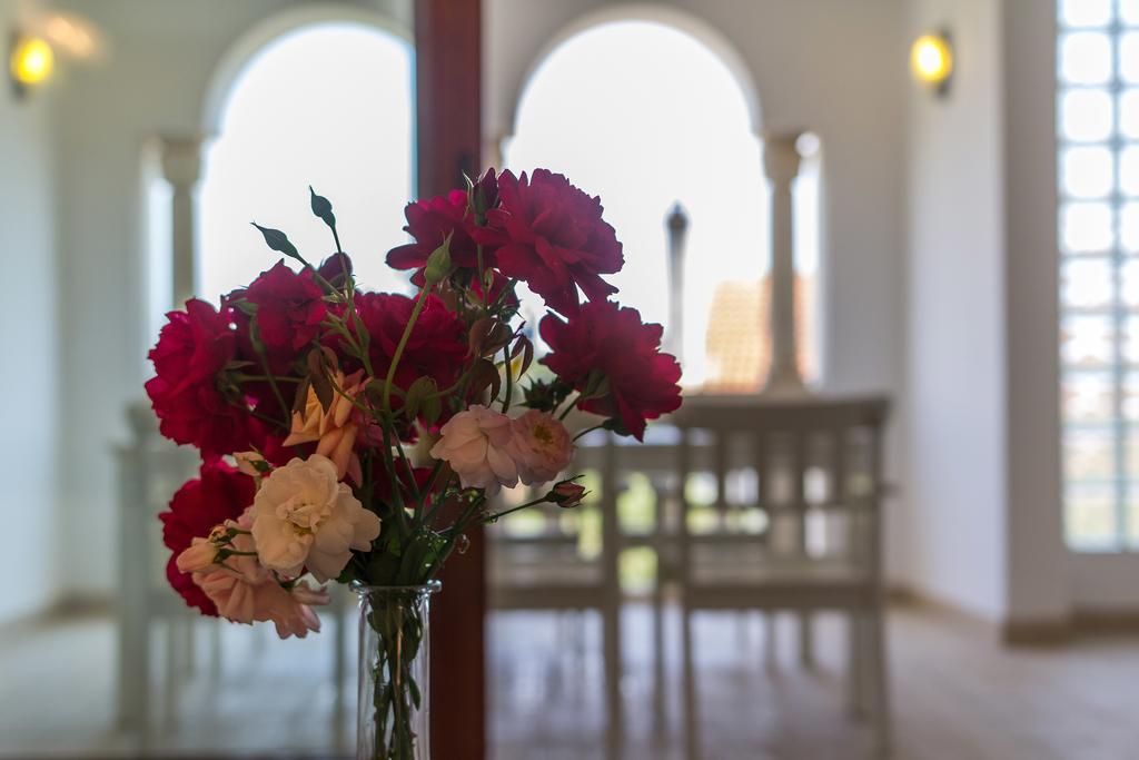 Villa Alma Veli Losinj Luaran gambar